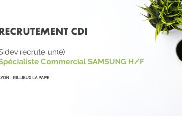 6 ANNONCE EXTERNE CDI Specialiste Commercial Site SIDEV photo