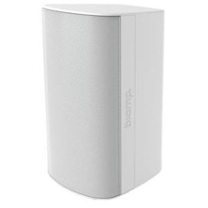  Biamp Desono EX-S10SUB-UB-W Caisson de basse 10", 300W 8Ω avec accroche en U, blanc