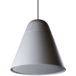 Biamp Desono P60DT-W haut-parleur 2-voies Blanc Avec fil 60 W