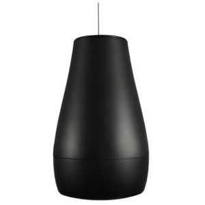 Biamp Desono P6-BK Paire d'enceintes suspendues, HP 6.5" + tweeter, 60W 100V, noir