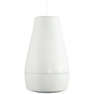 Biamp Desono P6-WH Paire d'enceintes suspendues, HP 6.5" + tweeter, 60W 100V, blanc