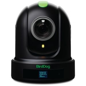 BirdDog P110 Noir