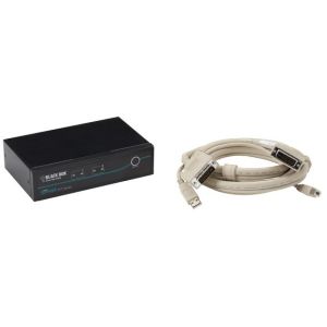 Black Box ServSwitch Commutateur KVM USB DVI (Haute qualité vidéo)