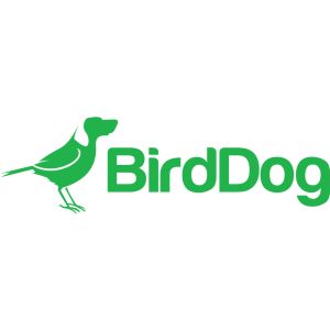 BirdDog Eyes P200 1080P Full NDI PTZ Camera