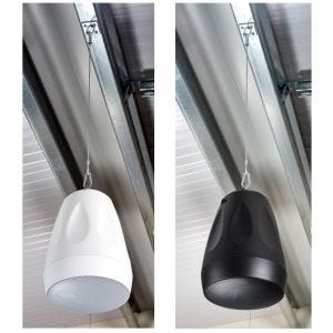 Cloud Contractor CVS-P62TB Enceinte suspendue HP 6.5" + tweeter, 20W 100V, noir