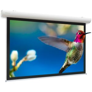 Da-Lite Elpro Concept écran de projection 4,14 m (163") 4:3