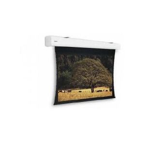 Da-Lite Tensioned Elpro Large Electrol écran de projection 4,47 m (176") 16:9