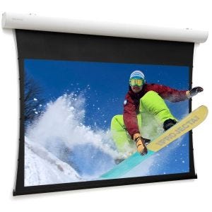 Da-Lite Tensioned Elpro Concept écran de projection 4,24 m (167") 16:9