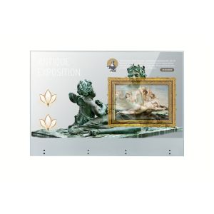 LG 55EW5TK Ecran affichage dynamique, OLED transparent tactile, 55'', FHD, 18/7 
