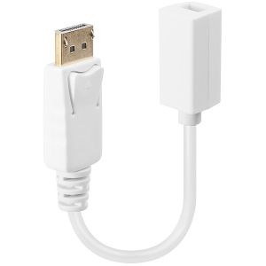 Lindy - Câble adaptateur DP (DisplayPort) vers Mini DisplayPort femelle