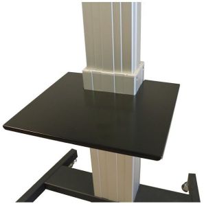 Neomounts PLASMA-M2500LAPSHELF Etagère Multimédia (Charge maximale 3 kg)