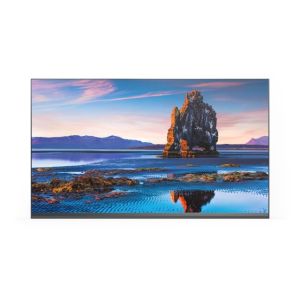 NEC LED-FE012i2-110 Écran Intérieur LED (110 pouces)