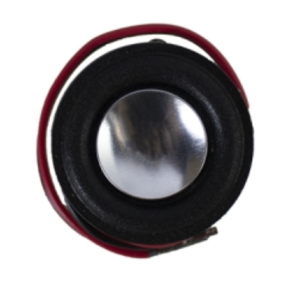Soundtube Entertainment DRV-FP-MM Micro-Driver de remplacement pour POD FP6020/FP6030