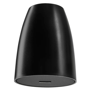 Shure MXP-1B Enceinte suspendue compacte avec Driver BMR, basse impédance pour usage avec MXN-AMP, noir
